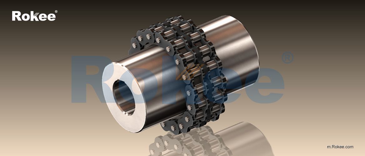 GL Roller Chain Coupling