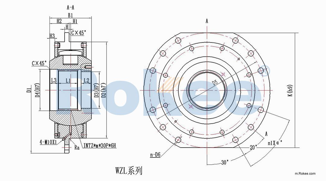 WZL Drum Coupling